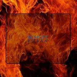 Жаростойкое стекло 230х270 мм (Фаворит 15, Воевода 20, Викинг 15, Витязь 18) — фото-605_1